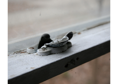 A bird sitting on a ledge.