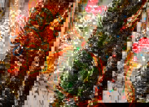 A christmas tree with lights.