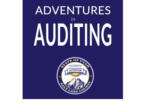 ADVENTURES in AUDITING