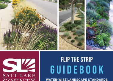 SALT LAKE COUNTY FLIP THE STRIP GUIDEBOOK WATER-WISE LANDSCAPE STANDARDS FOR FACILITY MANAGERS