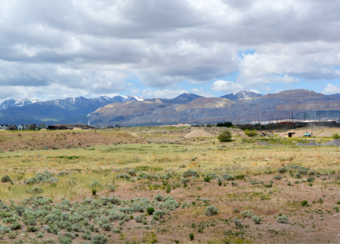 Bingham Creek