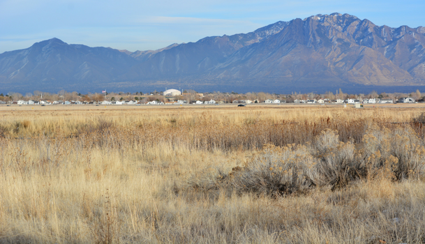 Cougar Park