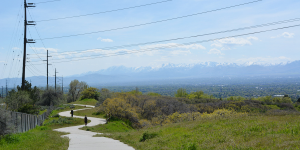 Olympus Hills Walking Trail